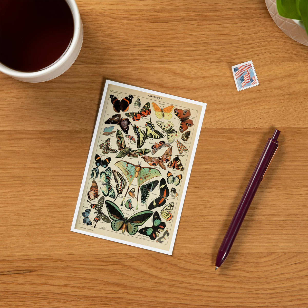 PREMIUM POSTCARDS Butterflies, C, Vintage Bookplate Millot