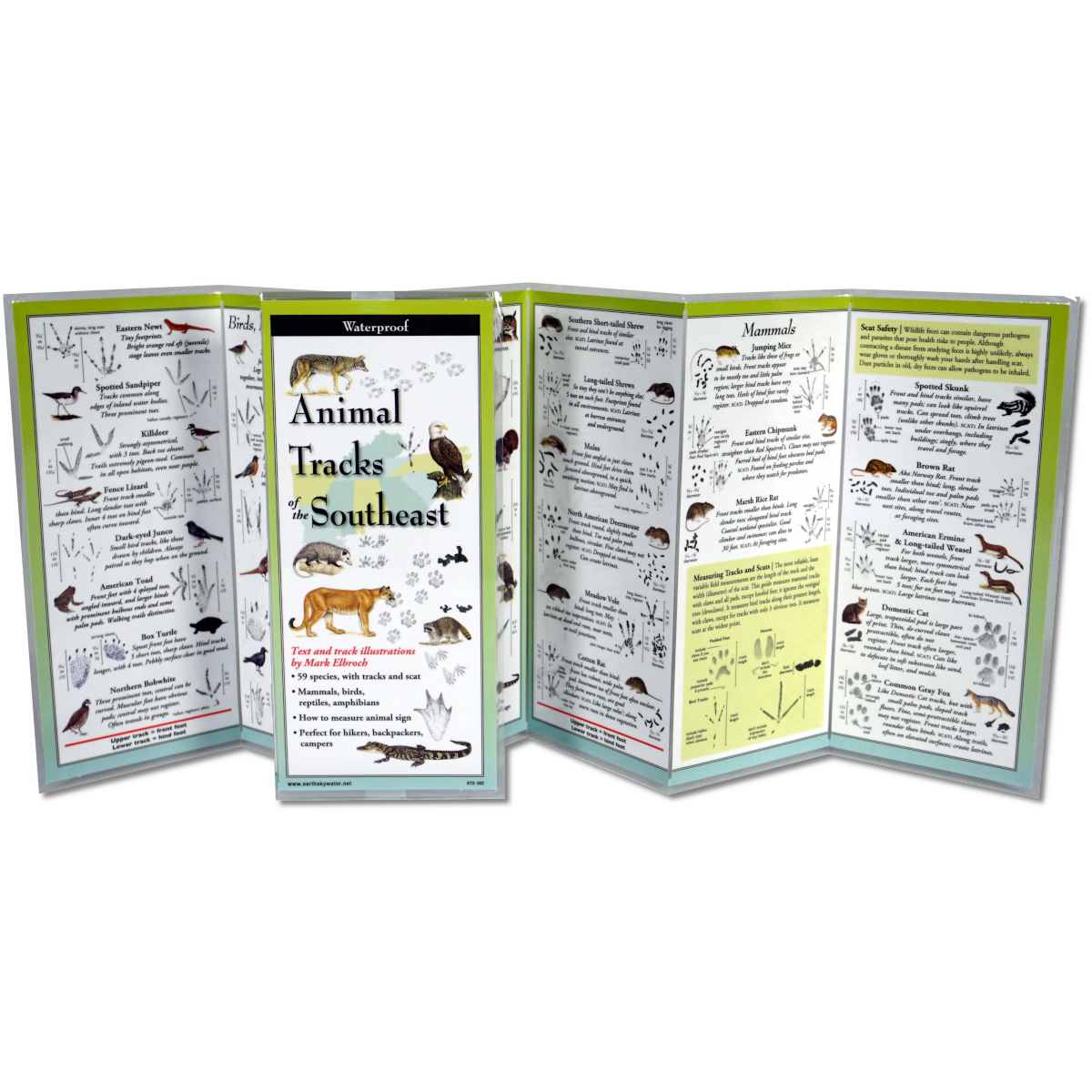 Waterproof Animal Tracks of the Southeast Booklet