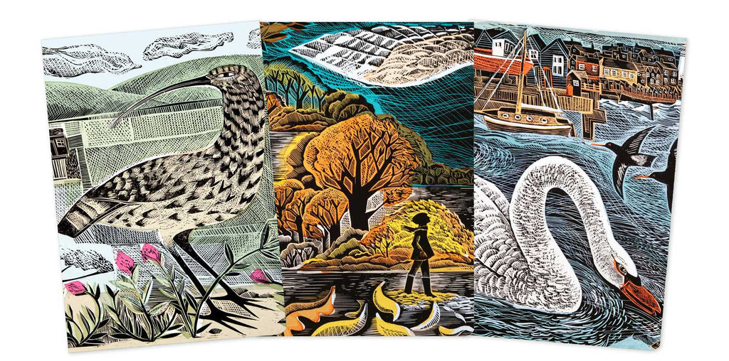 Angela Harding: Wildlife Set of 3 Midi Notebooks by