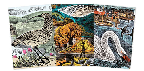Angela Harding: Wildlife Set of 3 Midi Notebooks by
