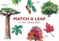 Match a Leaf Matching Game