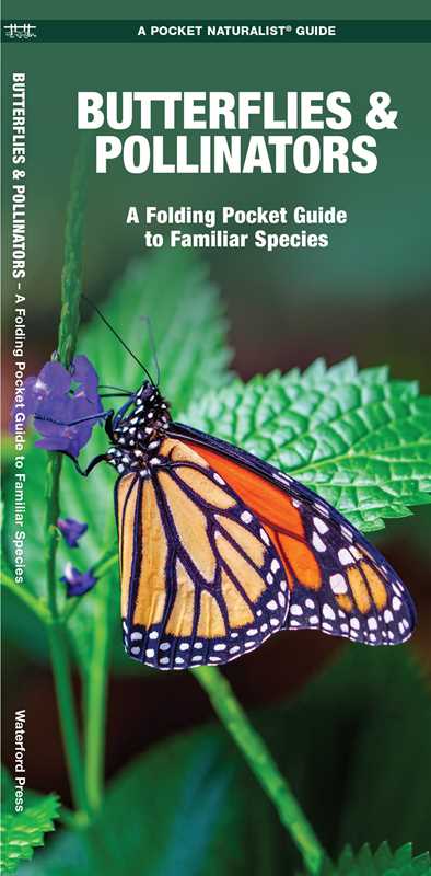 Butterflies & Pollinators by James Kavanagh