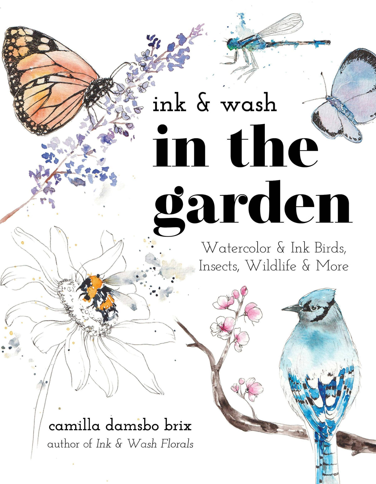 Ink And Wash In The Garden: Watercolor & Ink Wildlife Art