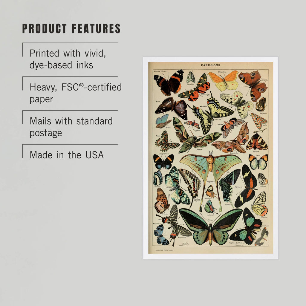 PREMIUM POSTCARDS Butterflies, C, Vintage Bookplate Millot